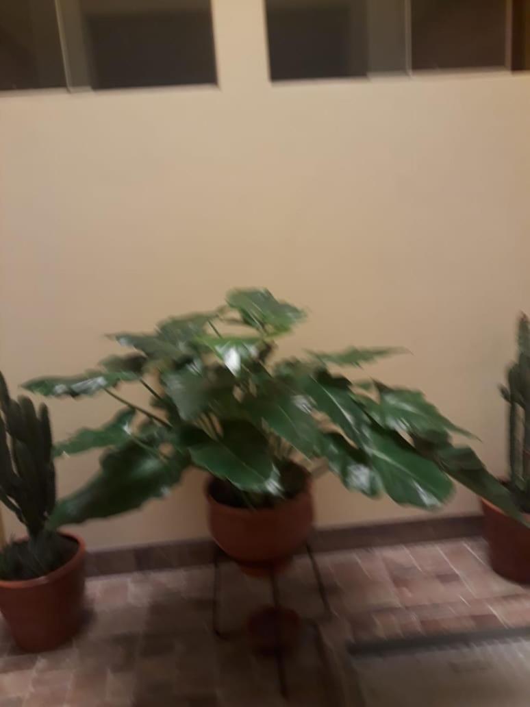 El Marquez Hotel Tacna Eksteriør billede